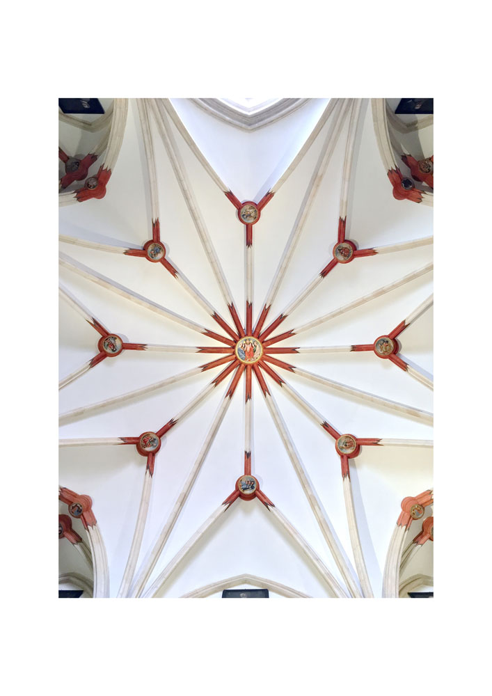Look Up — Massimo Boldrin